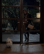 bellathornedaily0031.jpg
