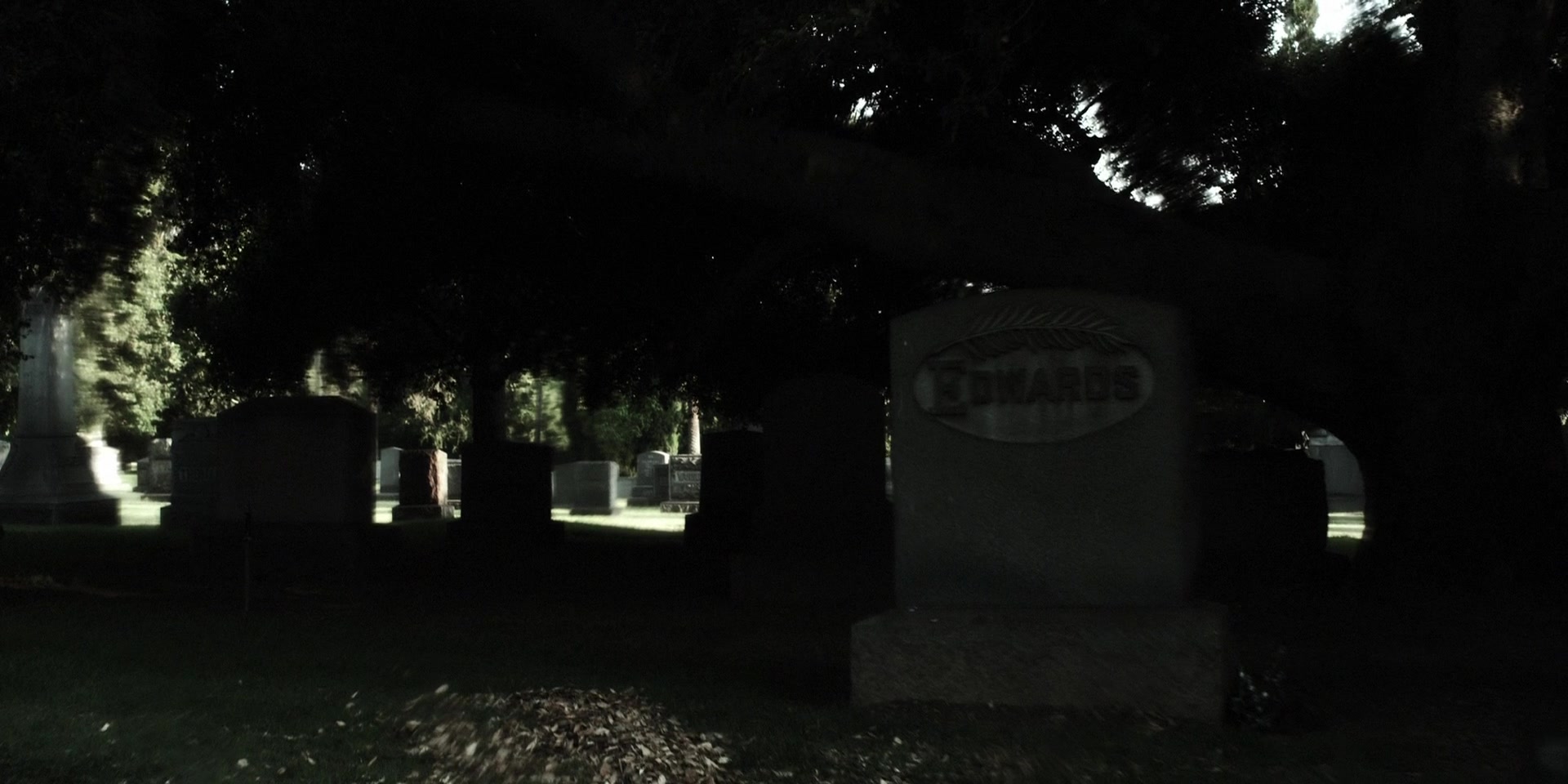 Forget_Me_Not_2009_1080p_BTD_002788.jpg