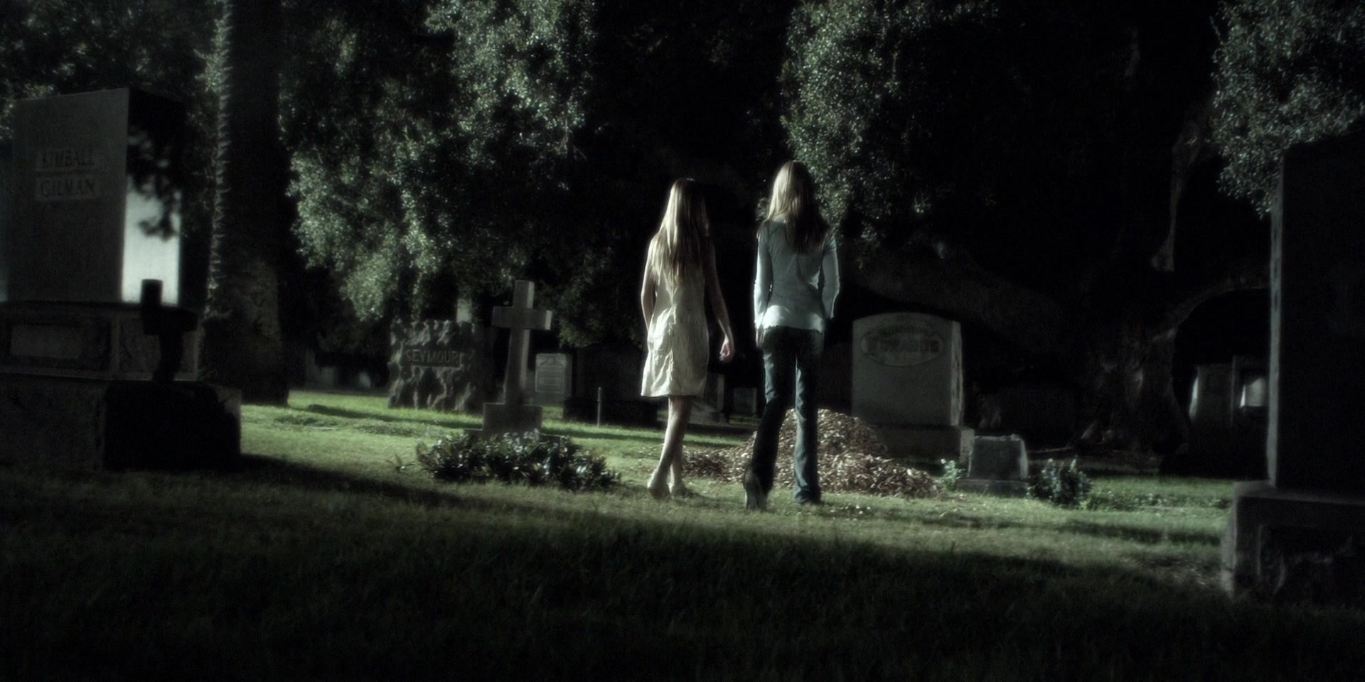 Forget_Me_Not_2009_1080p_BTD_012481.jpg Forget_Me_Not_2009_1080p_BTD_012481.jpg