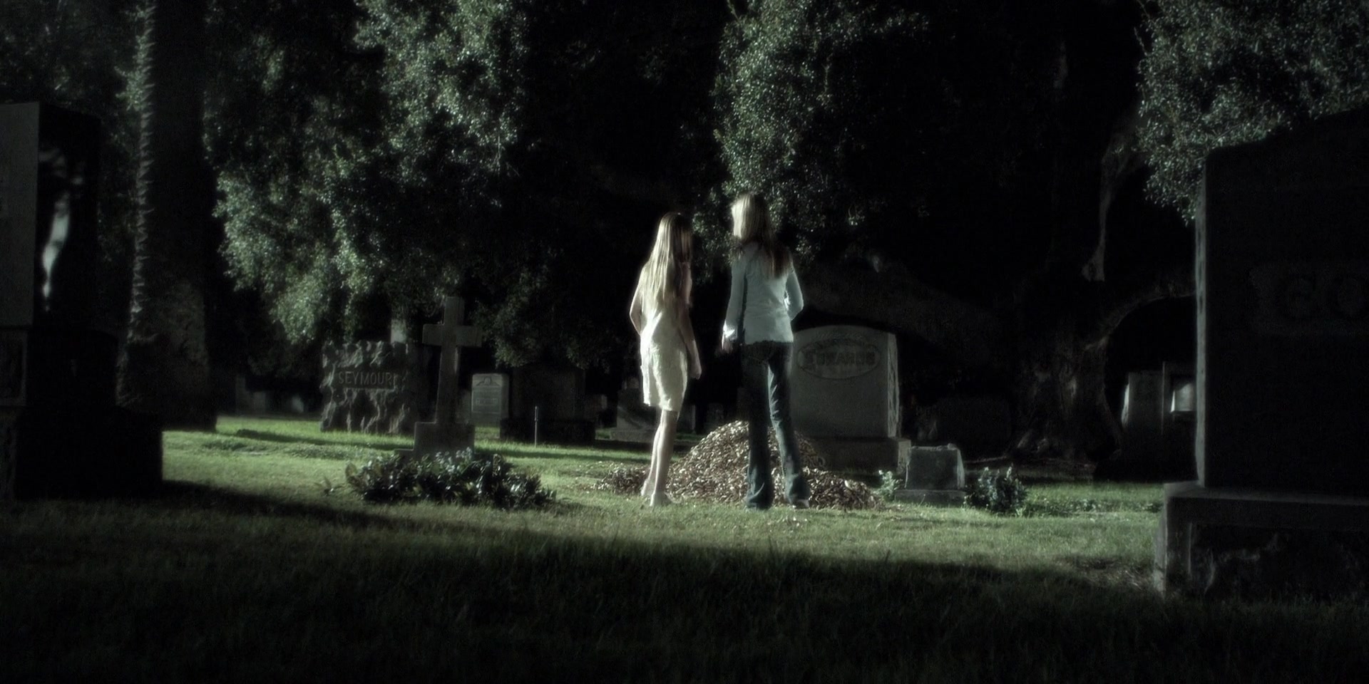 Forget_Me_Not_2009_1080p_BTD_012483.jpg Forget_Me_Not_2009_1080p_BTD_012483.jpg