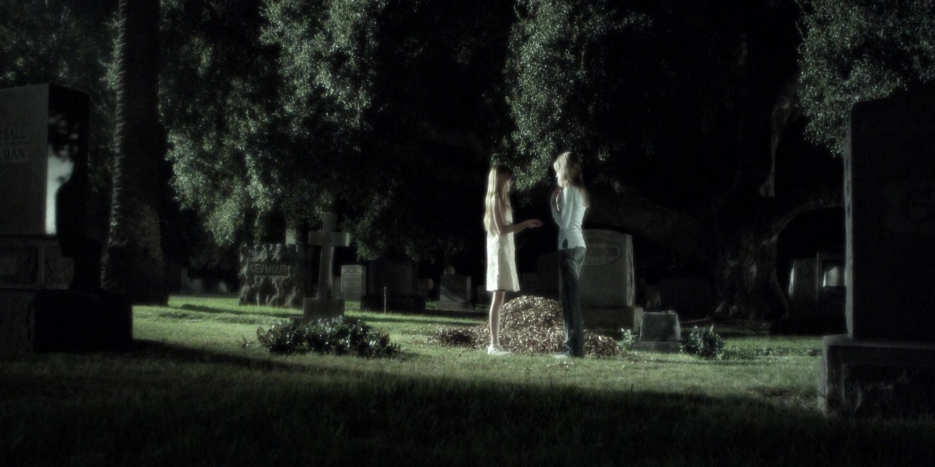Forget_Me_Not_2009_1080p_BTD_012489.jpg Forget_Me_Not_2009_1080p_BTD_012489.jpg