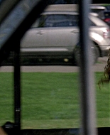 Frenemies_2012_1080p_BTD_003980.jpg