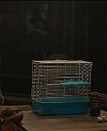 Girl_2020_1080p_BTD_011371.jpg