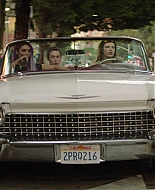 Paradise_City_2021_S01E04_1080p_BTD_001235.jpg