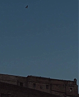 Time_Is_Up_2021_1080p_BTD_007562.jpg