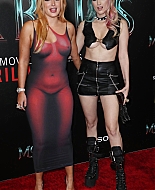 bellathornedaily_285129~0.jpg