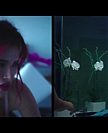 bellathornedaily_justcall_mv_000123.jpg